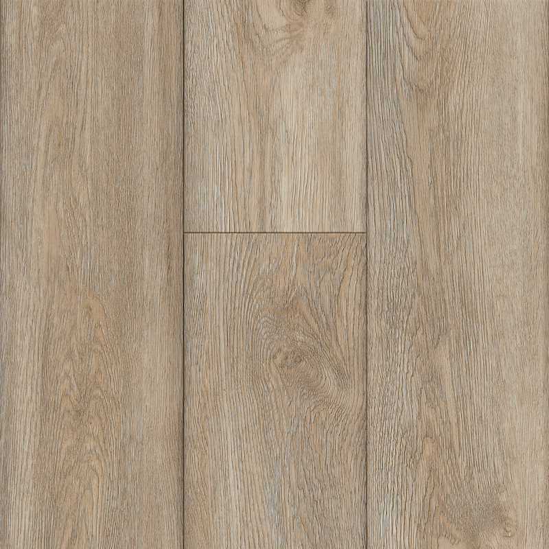 Professional - Free Spirit